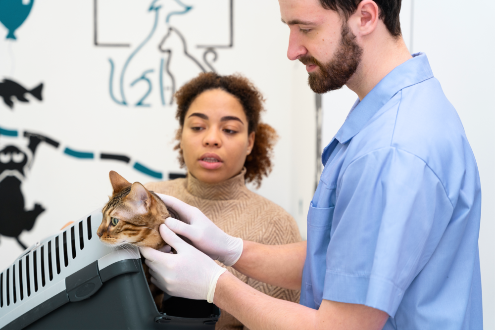 Is a Pet Chiropractor Right for Your Animal? Exploring the Benefits